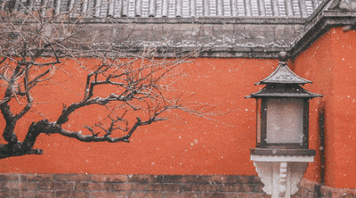 https://mmbiz.qpic.cn/mmbiz_gif/bR5aTJyh5xYDQ3wReVbmNhbP8dFl0NhLl8QHzUwkicicVBuPL4oumY6PiaMPLe5nrofT9QKDZHCd6yX2aibXdEjpjA/640?wx_fmt=gif&wxfrom=5&wx_lazy=1